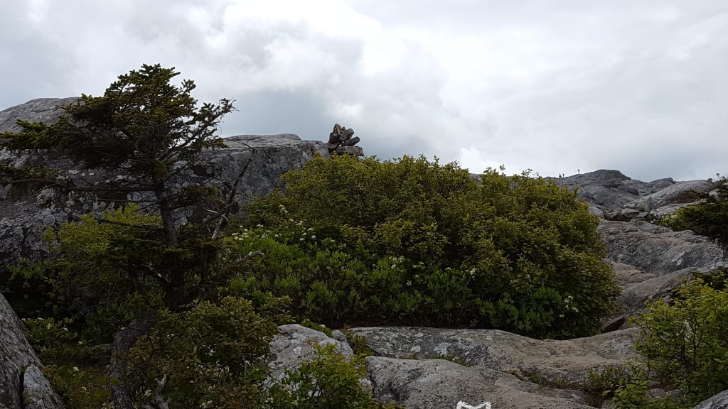 Monadnock-022-2018-06-07 Marlboro Trail open ledges near summit